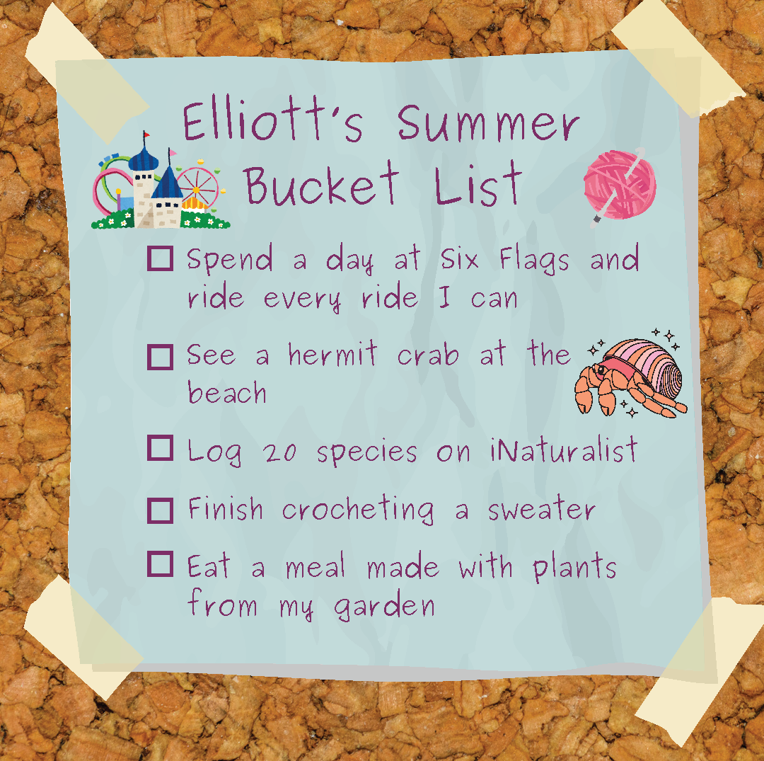 Elliott’s Summer Bucket List